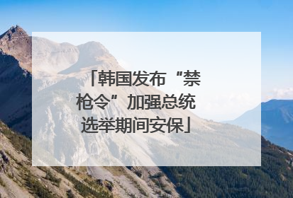 韩国发布“禁枪令”加强总统选举期间安保